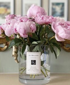 peonies and jo malone